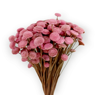 Sušené kvety BOTAO 80 g - Ružové 