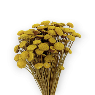 Sušené kvety BOTAO 80 g - Žlté 