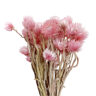 Sušené kvety CAPBLUMEN 50 g - Ružové 