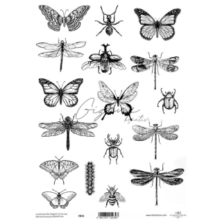 Fólia priehľadná - Motýle a vážky 21 x 29 cm